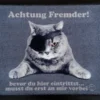 Fußmatte Piratenkatze Fußabtreter Cats Katze