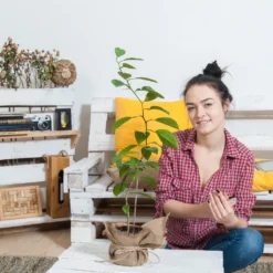 Relaxdays Flickenteppich Aus Leder & Baumwolle -Vidaxlko Verkaufe 46a0379d9bb04455252cbd03c5421a38