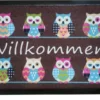 Fußmatte Fußabtreter Schmutzmatte Motiv Design Eule OWL -braun