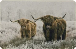 Fußmatte "Schottische Hochlandrinder" Mars&More RARMSCH 75x50x1cm Waschbar Gummiert