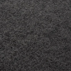 VidaXL Teppich Shaggy Hochflor Anthrazit 80x150 Cm -Vidaxlko Verkaufe 67c459af13897ffaacac3eef921d7acb