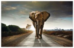 Wallario Premium Teppich, Größe 90 X 140 Cm, Elefant Bei Sonnenaufgang In Afrika