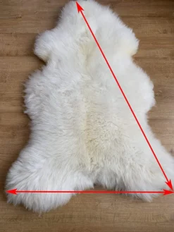 Sheepmania Lammfell Echt Ungeschoren Groß - Dichtes Langhaar Schaffell Echt Bis 10 Cm - Teppich Decke Kamin Lammfelldecke Kinderwagen - Weiß -Vidaxlko Verkaufe c0e7f79919cbd85e57e06b00d27d0bff