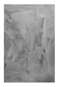 Wecon Home Basics - Hochflorteppich - Anna - Grau - 200x290 Cm